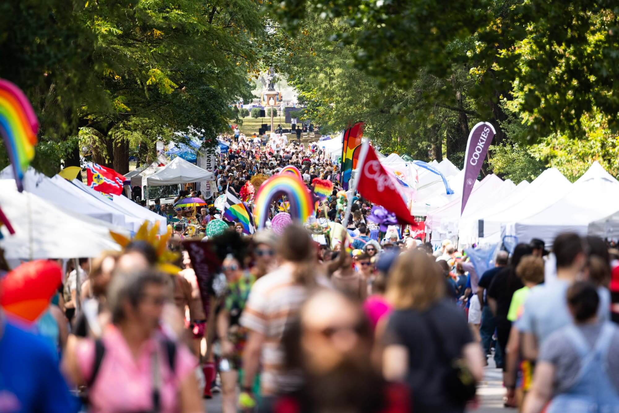 Colorful people dancing and waving signs to celebrate Pride in Tower Grove Park in St Louis MO
